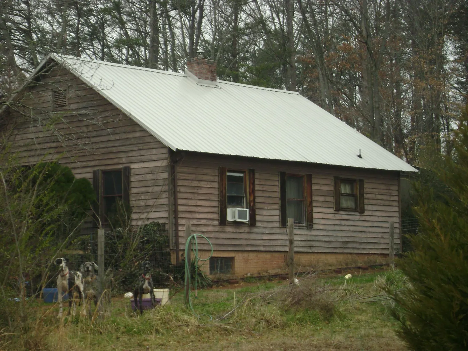 White metal roof on an old wood sided farmhouse, from a Asphalt Shingle Roof Repair job in Forestdale